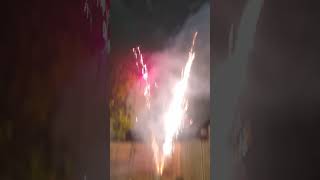 Fireworks 2024 🎆🎇 viralshort love traveldiarybyparkhakhan londondiary england trending india [upl. by Almap]