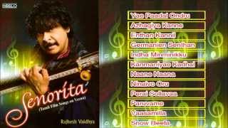 Rajhesh Vaidhya Veena  A Tribute To Isaignani Ilayaraja  Instrumental  Tamil Film Super hit Songs [upl. by Hnahk146]