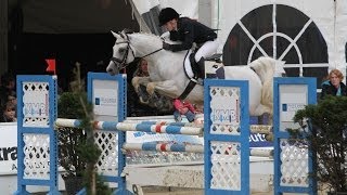 Al Ashar Vollblutaraber LStil Springen  Arabian Horse  Show Jumping [upl. by Pamelina]