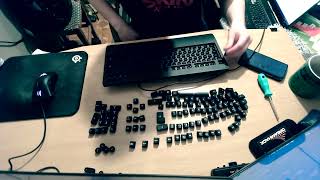 How To Fix Logitech G213 Prodigy RGB Spacebar Double Typing and Chatter [upl. by Enialehs132]