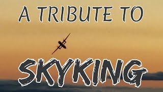 Tribute to SkyKing [upl. by Adnuahsor17]