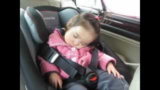 Dozing Off In The Car Sweet Little Joy Fast Asleep [upl. by Emerald]