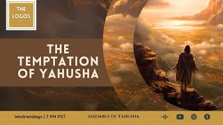 The Logos 16  The Temptation of Yahusha thelogos biblestudy temptationofYahusha [upl. by Ethe68]