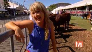 Sydney Royal Cattle Show [upl. by Aihsiym]