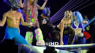 Lady Gaga  Swine  Live in Oslo Norway 2992014 FULL HD [upl. by Autrey]