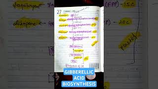 Gibberellic Acid Biosynthesis from Isoprenoid• CSIR life sciences• Gibberellin• csirnet GA botany [upl. by Htebarual]