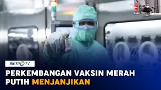 Hasil Uji Praklinik Fase 1 Vaksin Merah Putih Menjanjikan [upl. by Eisak]