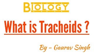 What is Tracheids   By  Gaurav Singh [upl. by Ander30]