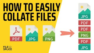 How To Easily Collate Files [upl. by Garzon50]