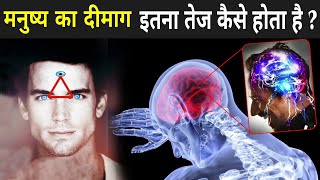 जानिए मनुष्य का दीमाग इतना तेज कैसे होता है   How To Control Your Mind In Hindi [upl. by Ella]