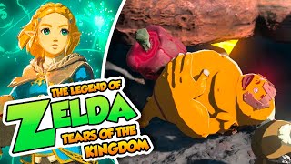 Goroadicción  54  TLO Zelda Tears of the Kingdom en Español Switch DSimphony [upl. by Gerianna177]