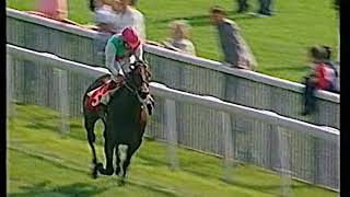 1993 Dante Stakes Tenby Includes Replay [upl. by Amahcen]