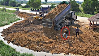 Excellent work New project Land filling huge Dump truck with Komatsu D31A Bulldozer skills [upl. by Heaps]