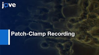 OneChannel CellAttached PatchClamp Recording l Protocol Preview [upl. by Kutzer]