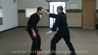 Kenpo Karate Techniques by Retana Bros [upl. by Ado]