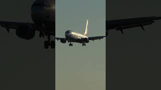 sunexpress 737 close up arrival aviation planespotting planes [upl. by Emmie8]