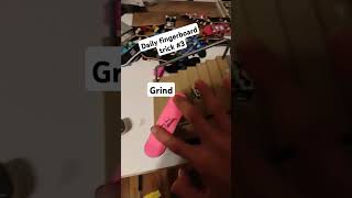 Daily fingerboard trick 3 grind [upl. by Valoniah]