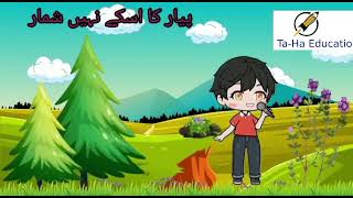 TaHa Education HAMD ALLAH HAI BAS PYAR HI PIYAR Pyar Bhara Har [upl. by Bealle]