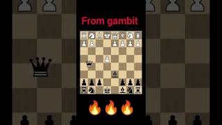 From gambit chess youtubeshorts chesstalks chesstalkbangla [upl. by Cymbre]