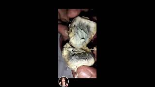 BALUT AN EGG EMBRYO COOK AND READY TO EAT balut balutchallenge viralvideo survival [upl. by Wildon]