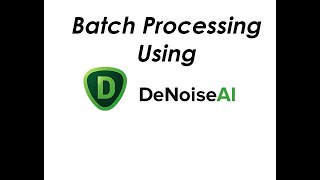 Topaz DeNoise AI Batch Processing [upl. by Areip]