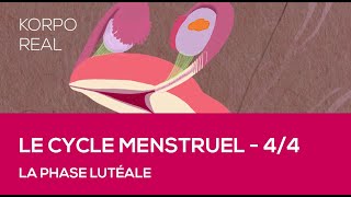 Le cycle menstruel  La phase lutéale [upl. by Noiroc]