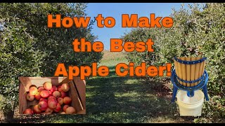 How to Make the Best Apple Cider [upl. by Nrubua]