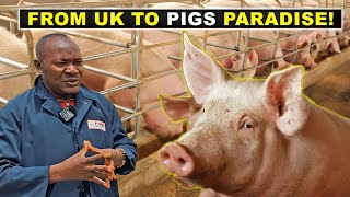 He Left the UK to Become a PIG FARMER in Nigeria [upl. by Enitsud]