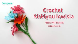 Crochet Siskiyou Lewisia Flower  Free Pattern [upl. by Ylam583]