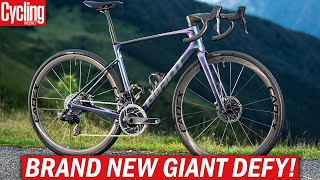 NEW 2024 Giant Defy  One Of The Last True Endurance Road Bikes [upl. by Meredi466]