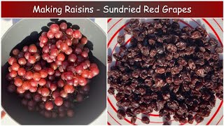 Making Raisins at Home 🌞🍇 Sundried Red Seedless Grapes [upl. by Gaile38]