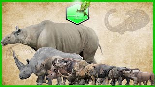 Rhinos Comparison Size Living Extinct [upl. by Poliard]