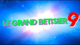 LE GRAND BÊTISIER 9 [upl. by Rycca77]