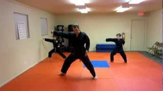 WonHyo Tae Kwon Do Form Explained Step by Step [upl. by Yorel]