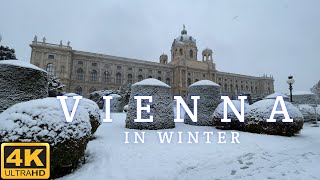 Winter Walk in Vienna  Vienna Walking in the Snowfall 4K UHD [upl. by Nhepets]