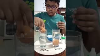 Science Experiment  Water Density Egg Floats [upl. by Narhet]