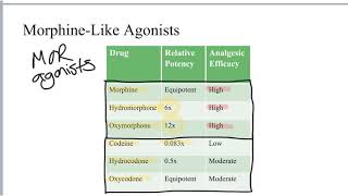 2Minute Neuroscience Opioids [upl. by Naicul]