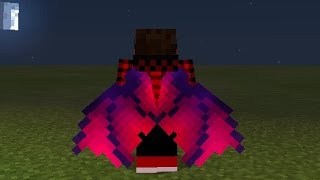 How to get custom elytra wings in MCPE [upl. by Ttenrag]