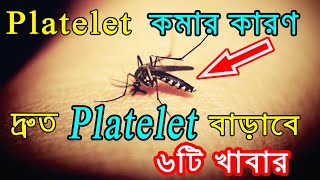 প্লাটিলেট কি What is Platelet Six Foods Which Increase Blood Platelets Instantly [upl. by Dawn]