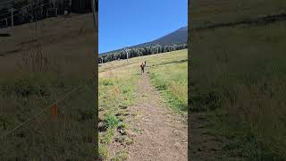 From Snowbowl To Summit Humphreys Peak In Flagstaff Arizona arizona [upl. by Adnauqaj250]