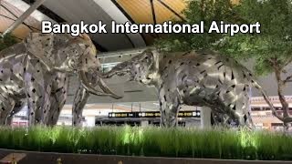 Inside Bangkoks busiest Airport [upl. by Ader]