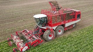 Vervaet Beet Eater XL25 harvesting sugar beets in Michigan [upl. by Lednam]