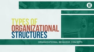 Types of Organizational Structures [upl. by Azral567]