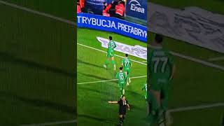 radomiak 20 puszcza goals [upl. by Irme215]