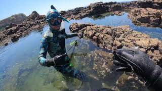 Pesca en Pozas de Marea Palos VerdesFishing in Palos Verdes tide pools [upl. by Alli]