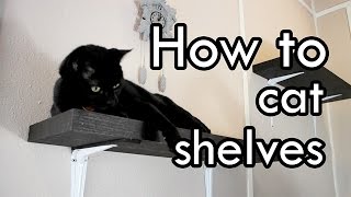 How to Make Cat Shelves  DIY [upl. by Doy]