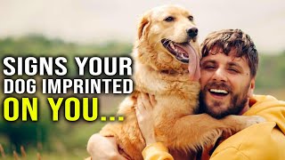 10 signs your dog considers you their parent [upl. by Nnylecyoj774]