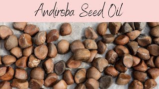 Andiroba Oil INCI Carapa Guinaensis Oil Limonoid Rich Cleansing Agent [upl. by Polik]