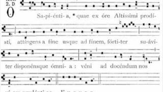 Antifona O Sapientia  gregorian antiphon [upl. by Marih864]