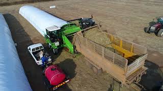 AG Bagger bagging 10 ton of Sorghum Silage [upl. by Niar]